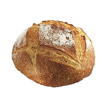 Bread